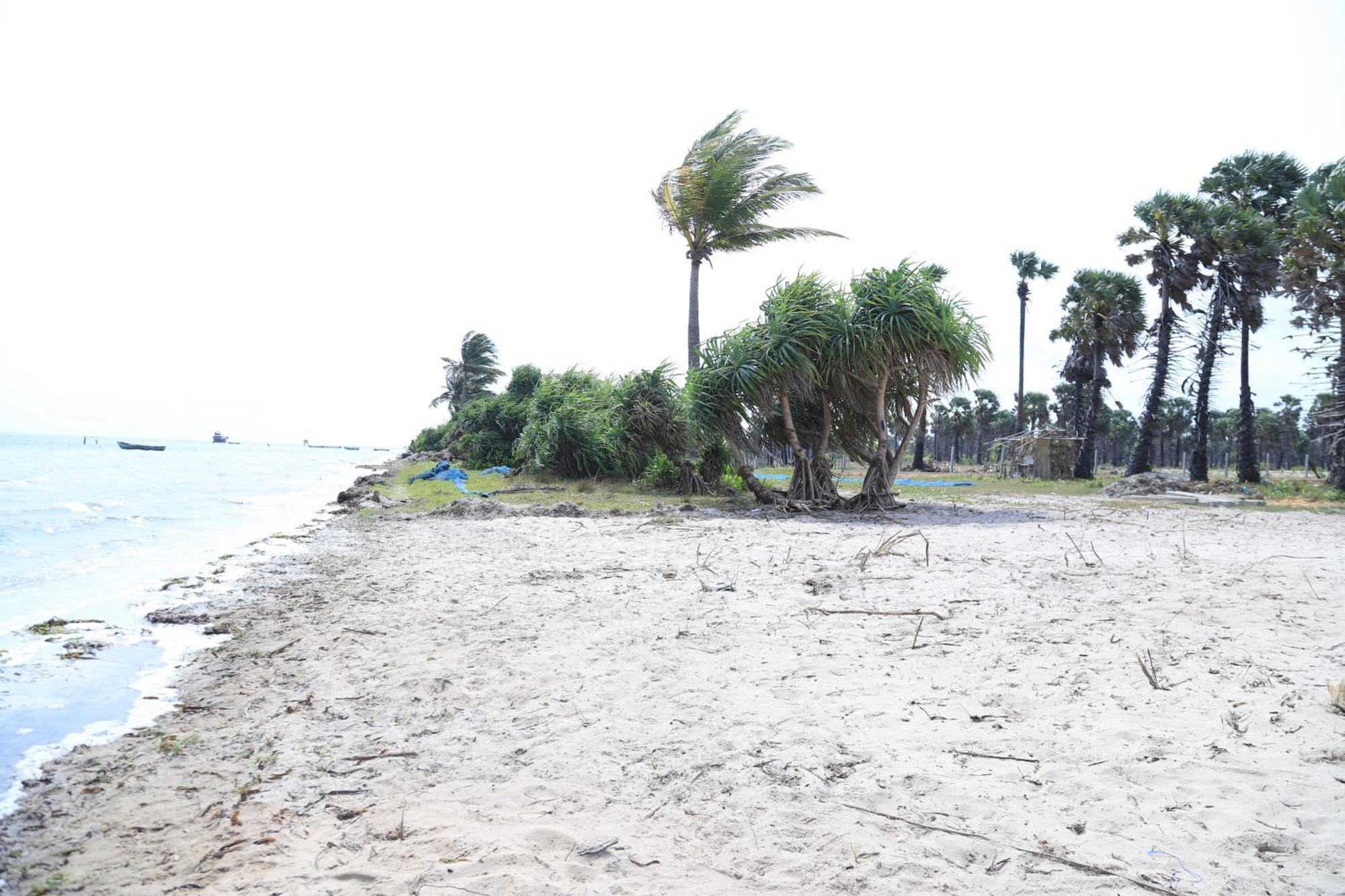 Palm Beach Resort Ceylon Jaffna Eksteriør billede