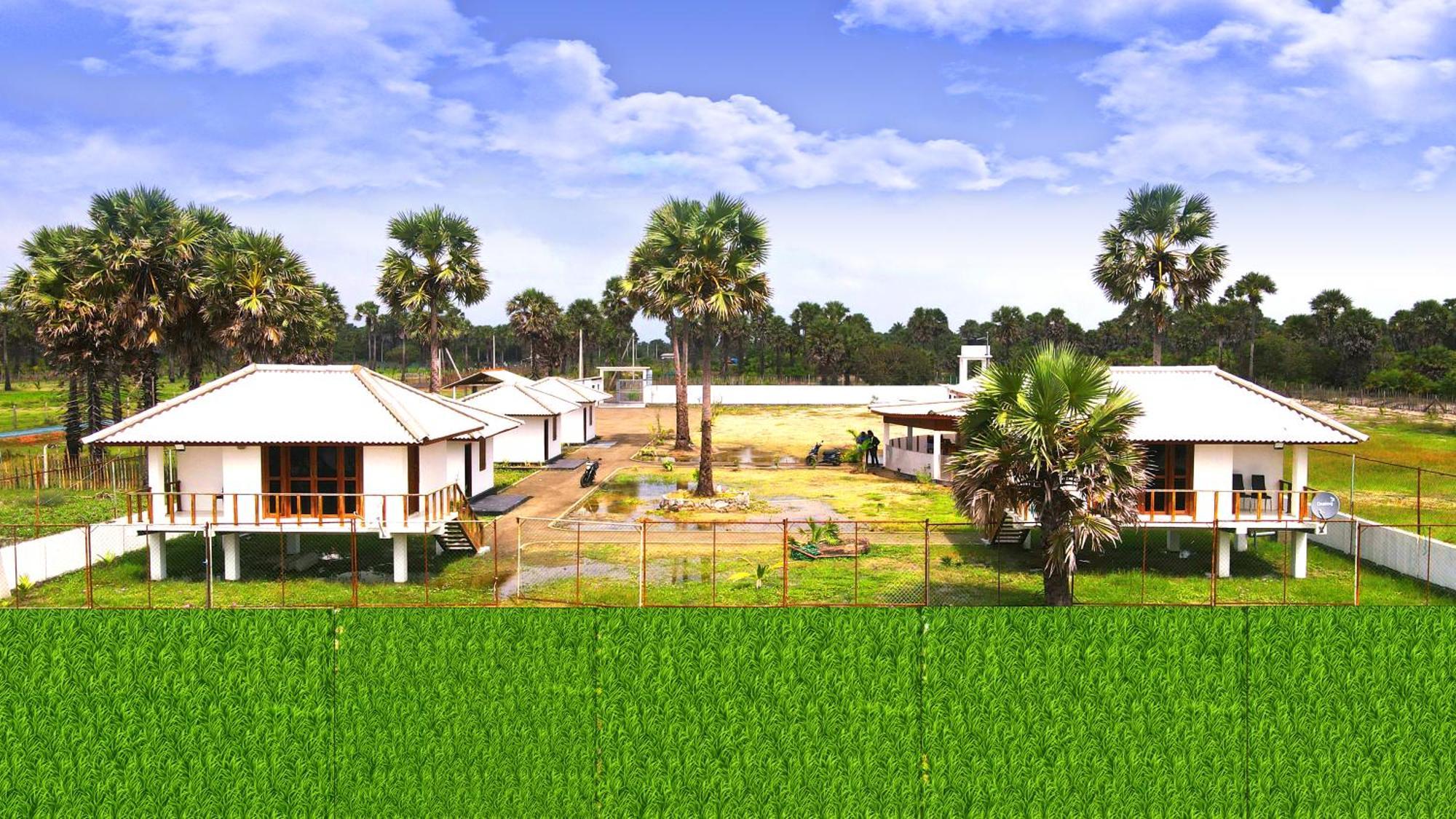 Palm Beach Resort Ceylon Jaffna Eksteriør billede